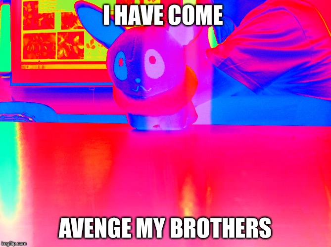 Brothers | I HAVE COME; AVENGE MY BROTHERS | image tagged in memes | made w/ Imgflip meme maker