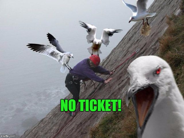 Indiana Seagull and the Last Climb  | NO TICKET! | image tagged in stupid humor | made w/ Imgflip meme maker