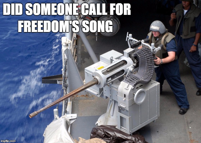 DID SOMEONE CALL FOR; FREEDOM'S SONG | image tagged in military,song lyrics | made w/ Imgflip meme maker