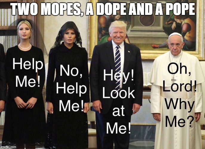 FUN FUN FUN | TWO MOPES, A DOPE AND A POPE | image tagged in grandma finds the internet | made w/ Imgflip meme maker