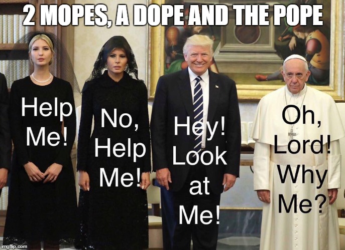 MY FUN FOR THE DAY | 2 MOPES, A DOPE AND THE POPE | image tagged in crazy/stupid preacher | made w/ Imgflip meme maker