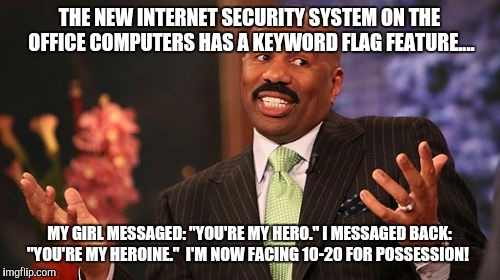 My hero..... | THE NEW INTERNET SECURITY SYSTEM ON THE OFFICE COMPUTERS HAS A KEYWORD FLAG FEATURE.... MY GIRL MESSAGED: "YOU'RE MY HERO." I MESSAGED BACK: "YOU'RE MY HEROINE." 
I'M NOW FACING 10-20 FOR POSSESSION! | image tagged in memes,steve harvey | made w/ Imgflip meme maker