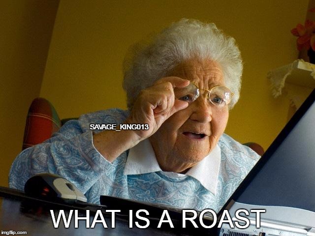 bruh | SAVAGE_KING013; WHAT IS A ROAST | image tagged in memes,grandma finds the internet | made w/ Imgflip meme maker