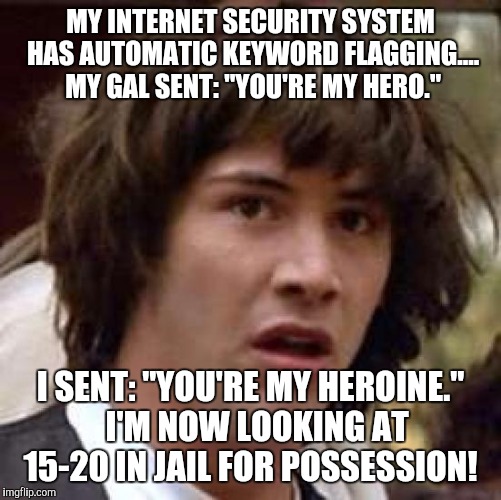 Conspiracy Keanu Meme | MY INTERNET SECURITY SYSTEM HAS AUTOMATIC KEYWORD FLAGGING.... MY GAL SENT: "YOU'RE MY HERO."; I SENT: "YOU'RE MY HEROINE."  I'M NOW LOOKING AT 15-20 IN JAIL FOR POSSESSION! | image tagged in memes,conspiracy keanu | made w/ Imgflip meme maker