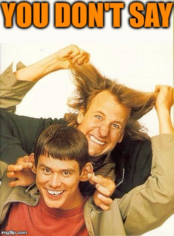 DUMB and dumber | YOU DON'T SAY | image tagged in dumb and dumber | made w/ Imgflip meme maker