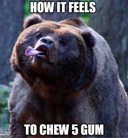Derpy Bear | HOW IT FEELS; TO CHEW 5 GUM | image tagged in derpy bear | made w/ Imgflip meme maker