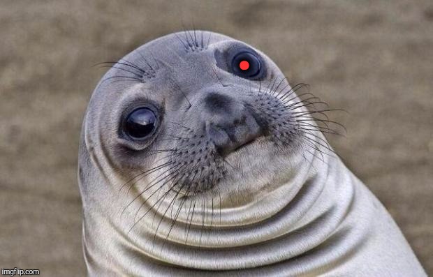 Awkward Moment -  Red Team Cyborg Anthropologist Sea Lion Blank Meme Template