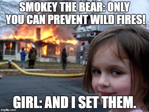 Disaster Girl Meme | SMOKEY THE BEAR: ONLY YOU CAN PREVENT WILD FIRES! GIRL: AND I SET THEM. | image tagged in memes,disaster girl | made w/ Imgflip meme maker