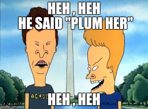 HE SAID "PLUM HER" | image tagged in beavis and butthead | made w/ Imgflip meme maker