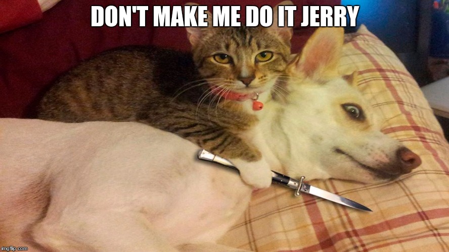 DON'T MAKE ME DO IT JERRY | image tagged in don't make me do it | made w/ Imgflip meme maker