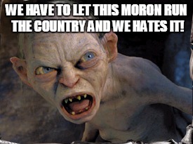 Gollum lord of the rings | WE HAVE TO LET THIS MORON RUN THE COUNTRY AND WE HATES IT! | image tagged in gollum lord of the rings | made w/ Imgflip meme maker