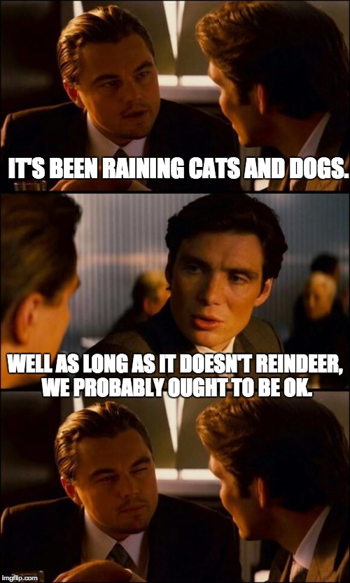 Di Caprio Inception | IT'S BEEN RAINING CATS AND DOGS. WELL AS LONG AS IT DOESN'T REINDEER, WE PROBABLY OUGHT TO BE OK. | image tagged in di caprio inception | made w/ Imgflip meme maker