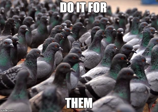 Pigeons | DO IT FOR; THEM | image tagged in pigeons | made w/ Imgflip meme maker