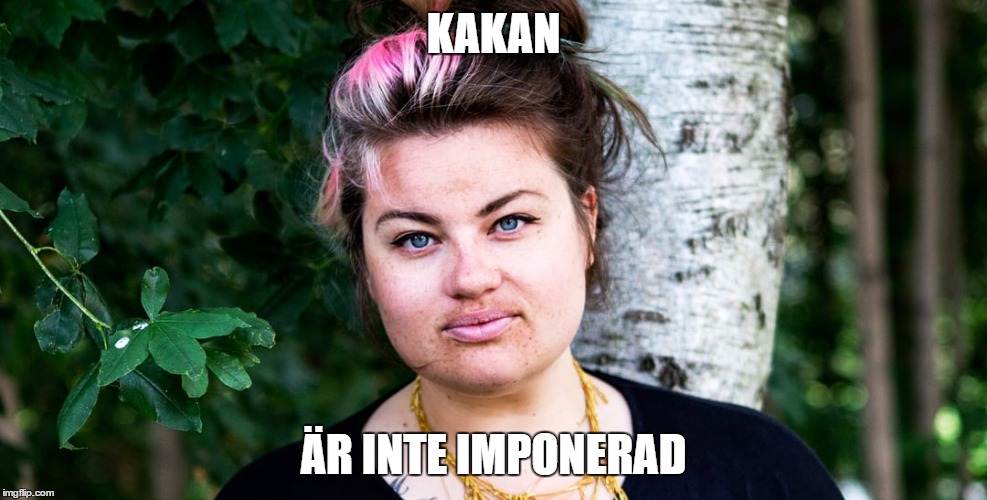 KAKAN; ÄR INTE IMPONERAD | made w/ Imgflip meme maker