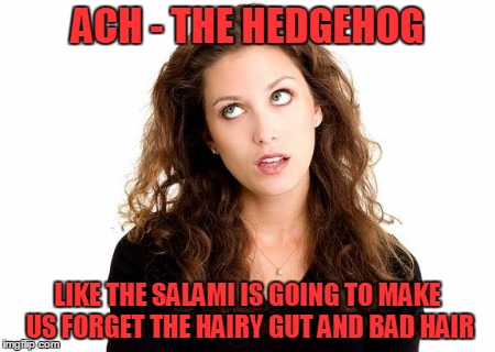 ACH - THE HEDGEHOG LIKE THE SALAMI IS GOING TO MAKE US FORGET THE HAIRY GUT AND BAD HAIR | made w/ Imgflip meme maker