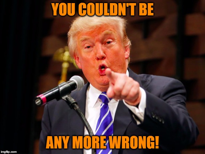 trump point | YOU COULDN'T BE ANY MORE WRONG! | image tagged in trump point | made w/ Imgflip meme maker