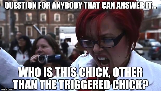 Can someone tell me who the hell this woman is? (it's been bugging me for a while) | QUESTION FOR ANYBODY THAT CAN ANSWER IT... WHO IS THIS CHICK, OTHER THAN THE TRIGGERED CHICK? | image tagged in i'm lost,i'm confused,super_triggered,triggered,could someone please answer this | made w/ Imgflip meme maker