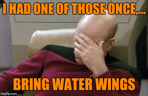 Captain Picard Facepalm Meme | I HAD ONE OF THOSE ONCE,... BRING WATER WINGS | image tagged in memes,captain picard facepalm | made w/ Imgflip meme maker