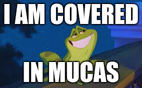 Prince Naveen Frog | I AM COVERED; IN MUCAS | image tagged in prince naveen frog | made w/ Imgflip meme maker