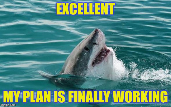 Friendly Shark | EXCELLENT MY PLAN IS FINALLY WORKING | image tagged in friendly shark | made w/ Imgflip meme maker