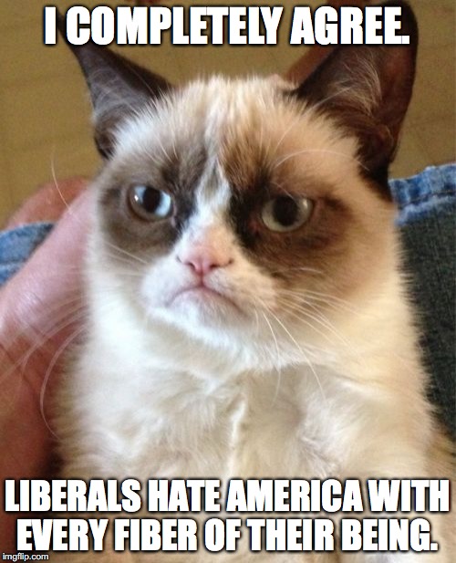 Grumpy Cat Meme | I COMPLETELY AGREE. LIBERALS HATE AMERICA WITH EVERY FIBER OF THEIR BEING. | image tagged in memes,grumpy cat | made w/ Imgflip meme maker