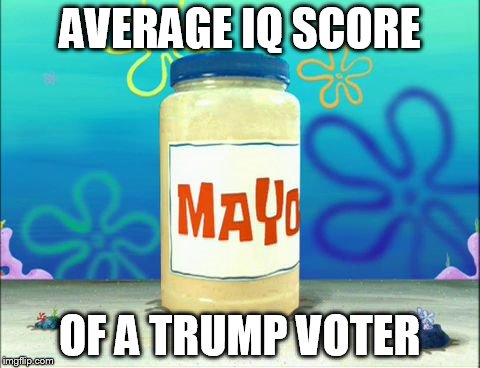 Mayonnaise | AVERAGE IQ SCORE; OF A TRUMP VOTER | image tagged in mayonnaise | made w/ Imgflip meme maker