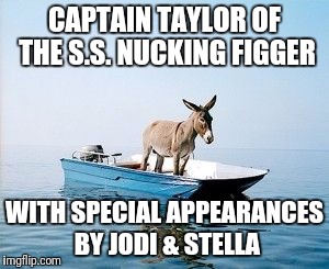 DONKEY ON A BOAT | CAPTAIN TAYLOR OF THE
S.S. NUCKING FIGGER; WITH SPECIAL APPEARANCES BY JODI & STELLA | image tagged in donkey on a boat | made w/ Imgflip meme maker