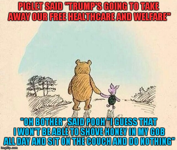 I had to try one of these...why let poohhatestrump have all of the fun? | PIGLET SAID "TRUMP'S GOING TO TAKE AWAY OUR FREE HEALTHCARE AND WELFARE"; "OH BOTHER" SAID POOH "I GUESS THAT I WON'T BE ABLE TO SHOVE HONEY IN MY GOB ALL DAY AND SIT ON THE COUCH AND DO NOTHING" | image tagged in pooh and piglet,poohhatestrump,obamacare,welfare | made w/ Imgflip meme maker