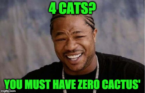 Yo Dawg Heard You Meme | 4 CATS? YOU MUST HAVE ZERO CACTUS' | image tagged in memes,yo dawg heard you | made w/ Imgflip meme maker