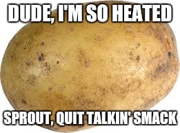 Memes | DUDE, I'M SO HEATED SPROUT, QUIT TALKIN' SMACK | image tagged in memes | made w/ Imgflip meme maker