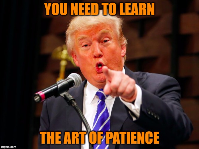 trump point | YOU NEED TO LEARN THE ART OF PATIENCE | image tagged in trump point | made w/ Imgflip meme maker