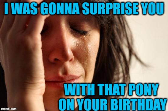 First World Problems Meme | I WAS GONNA SURPRISE YOU WITH THAT PONY ON YOUR BIRTHDAY | image tagged in memes,first world problems | made w/ Imgflip meme maker