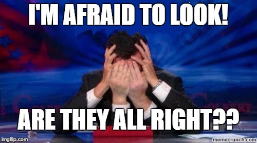 stephen colbert face palms | I'M AFRAID TO LOOK! ARE THEY ALL RIGHT?? | image tagged in stephen colbert face palms | made w/ Imgflip meme maker