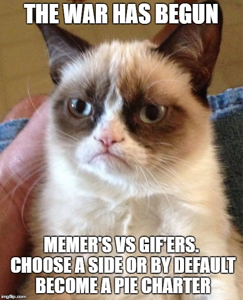 Grumpy Cat Meme | THE WAR HAS BEGUN MEMER'S VS GIF'ERS. CHOOSE A SIDE OR BY DEFAULT BECOME A PIE CHARTER | image tagged in memes,grumpy cat | made w/ Imgflip meme maker