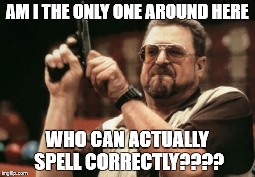 Am I The Only One Around Here Meme | AM I THE ONLY ONE AROUND HERE WHO CAN ACTUALLY SPELL CORRECTLY???? | image tagged in memes,am i the only one around here | made w/ Imgflip meme maker