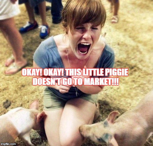 OKAY! OKAY! THIS LITTLE PIGGIE DOESN'T GO TO MARKET!!! | image tagged in animals,funny pain,scream,funny memes,funny animals,pigs | made w/ Imgflip meme maker
