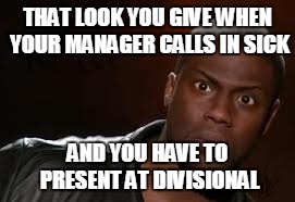 Kevin Hart Meme | THAT LOOK YOU GIVE WHEN YOUR MANAGER CALLS IN SICK; AND YOU HAVE TO PRESENT AT DIVISIONAL | image tagged in memes,kevin hart the hell | made w/ Imgflip meme maker