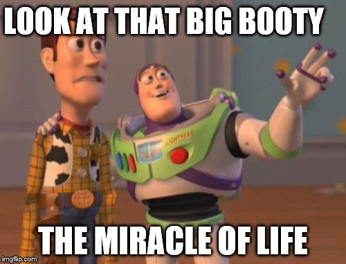 X, X Everywhere | LOOK AT THAT BIG BOOTY; THE MIRACLE OF LIFE | image tagged in memes,x x everywhere | made w/ Imgflip meme maker