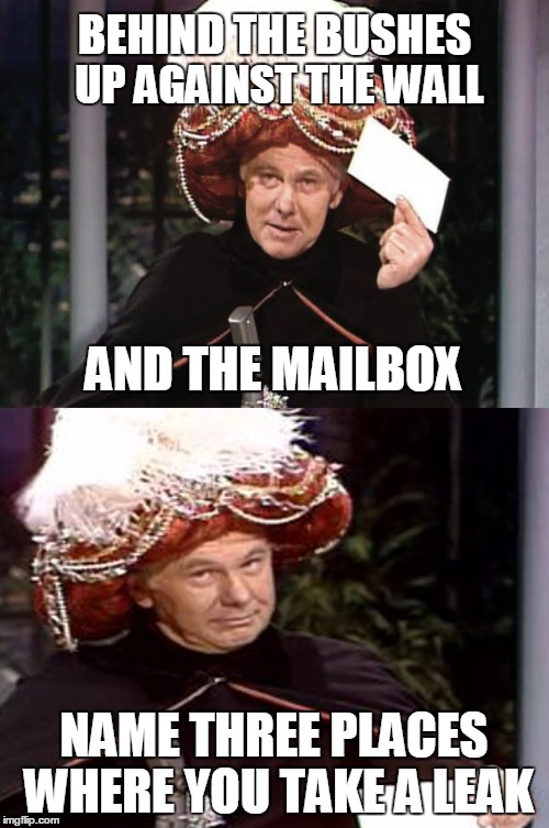 Where there's no restroom and you gotta go really bad | BEHIND THE BUSHES; UP AGAINST THE WALL; AND THE MAILBOX; NAME THREE PLACES WHERE YOU TAKE A LEAK | image tagged in carnac the magnificent 3 | made w/ Imgflip meme maker