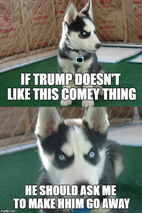 Insanity Puppy Provides Trump With "Legal" Counsel | IF TRUMP DOESN'T LIKE THIS COMEY THING; HE SHOULD ASK ME TO MAKE HHIM GO AWAY | image tagged in memes,insanity puppy | made w/ Imgflip meme maker