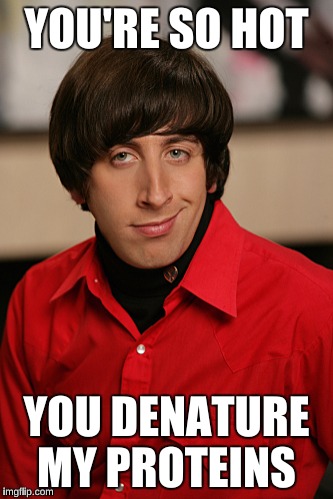 Howard YOU'RE SO HOT; YOU DENATURE MY PROTEINS image tagged in howard,...