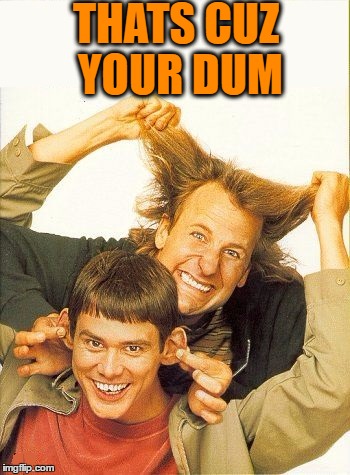 DUMB and dumber | THATS CUZ YOUR DUM | image tagged in dumb and dumber | made w/ Imgflip meme maker