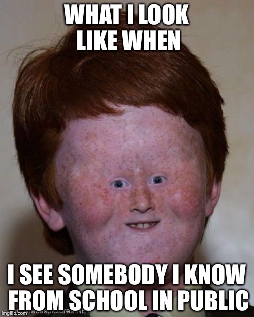 Funny face memes | WHAT I LOOK LIKE WHEN; I SEE SOMEBODY I KNOW FROM SCHOOL IN PUBLIC | image tagged in memes,funny,funny face | made w/ Imgflip meme maker