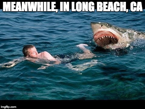 Shark | MEANWHILE, IN LONG BEACH, CA | image tagged in shark | made w/ Imgflip meme maker