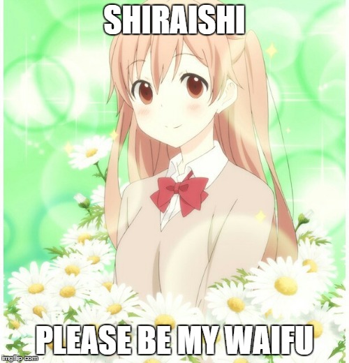 SHIRAISHI; PLEASE BE MY WAIFU | image tagged in waifu | made w/ Imgflip meme maker