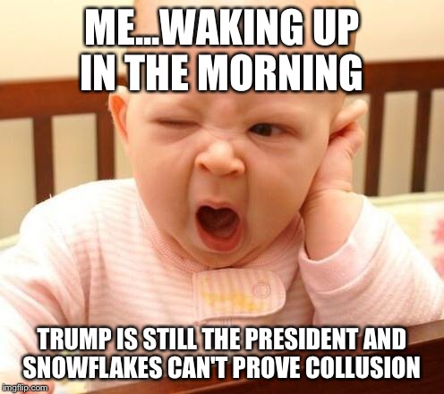 KEEP LOOKING SNOWFLAKES  | ME...WAKING UP IN THE MORNING; TRUMP IS STILL THE PRESIDENT AND SNOWFLAKES CAN'T PROVE COLLUSION | image tagged in yawn baby | made w/ Imgflip meme maker