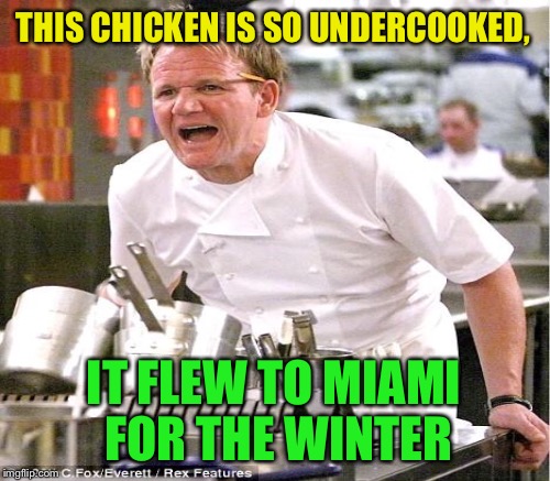 THIS CHICKEN IS SO UNDERCOOKED, IT FLEW TO MIAMI FOR THE WINTER | made w/ Imgflip meme maker