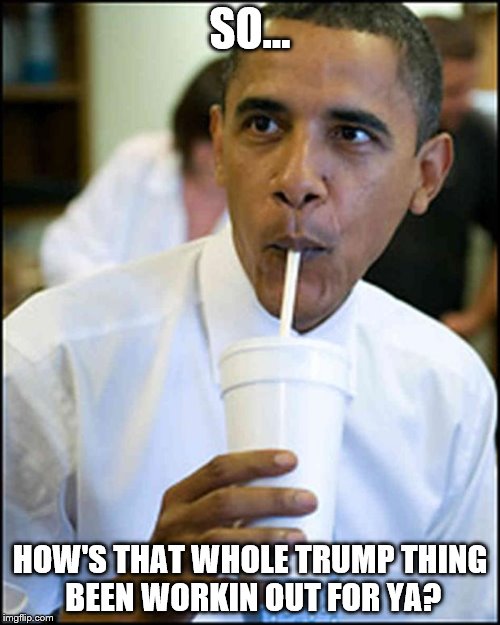 obama soda | SO... HOW'S THAT WHOLE TRUMP THING BEEN WORKIN OUT FOR YA? | image tagged in obama soda | made w/ Imgflip meme maker