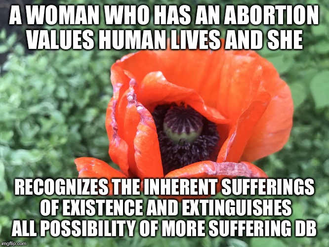 A WOMAN WHO HAS AN ABORTION VALUES HUMAN LIVES AND SHE; RECOGNIZES THE INHERENT SUFFERINGS OF EXISTENCE AND EXTINGUISHES ALL POSSIBILITY OF MORE SUFFERING DB | image tagged in abortion antinatalism natalism | made w/ Imgflip meme maker
