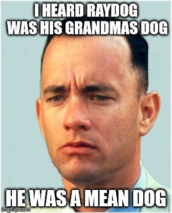 forrest gump | I HEARD RAYDOG WAS HIS GRANDMAS DOG HE WAS A MEAN DOG | image tagged in forrest gump | made w/ Imgflip meme maker